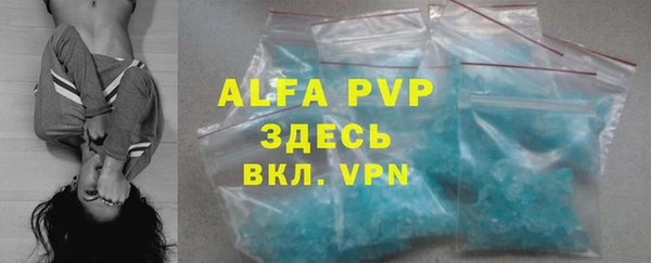 a pvp Бородино