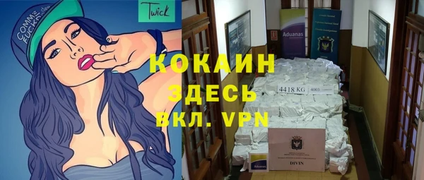 a pvp Бородино