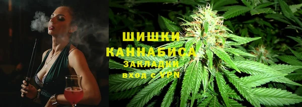 a pvp Бородино