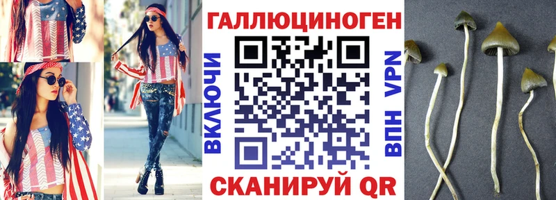 Купить закладки  Кубинка  Галлюциногенные грибы Psilocybe 